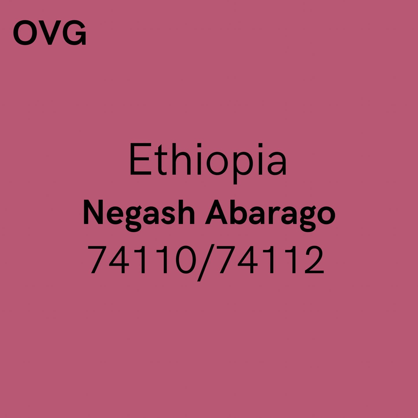 Ethiopia,Negash Abarago - Washed 74110/74112
