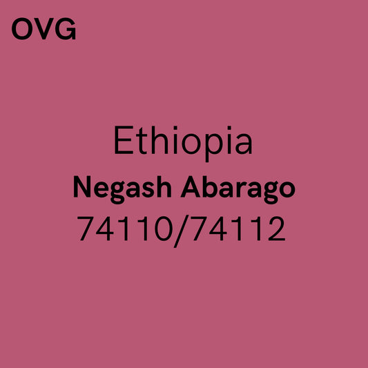 Éthiopie, Negash Abarago - Lavé 74110/74112