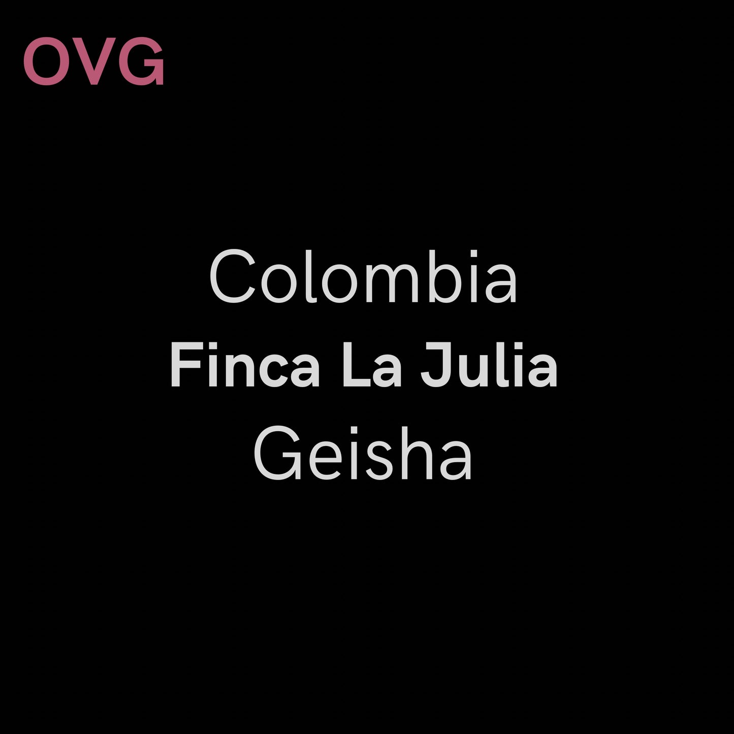 Colombia, Finca La Julia - Anaerobic & Aerobic Geisha