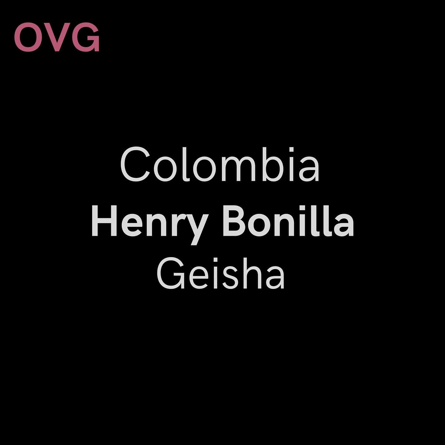 Colombia, Henry Bonilla - Washed Geisha