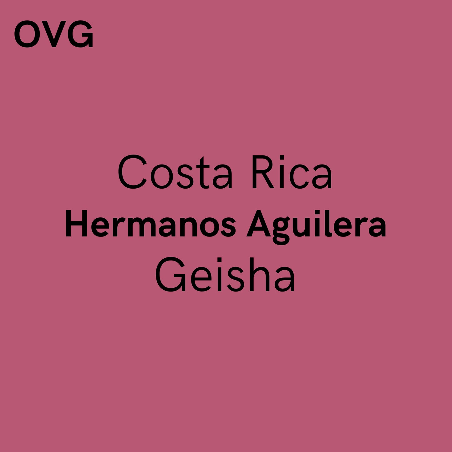 Costa Rica, Hermanos Aguilera - Yellow Honey Geisha