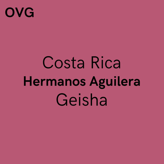 Costa Rica, Hermanos Aguilera - Yellow Honey Geisha
