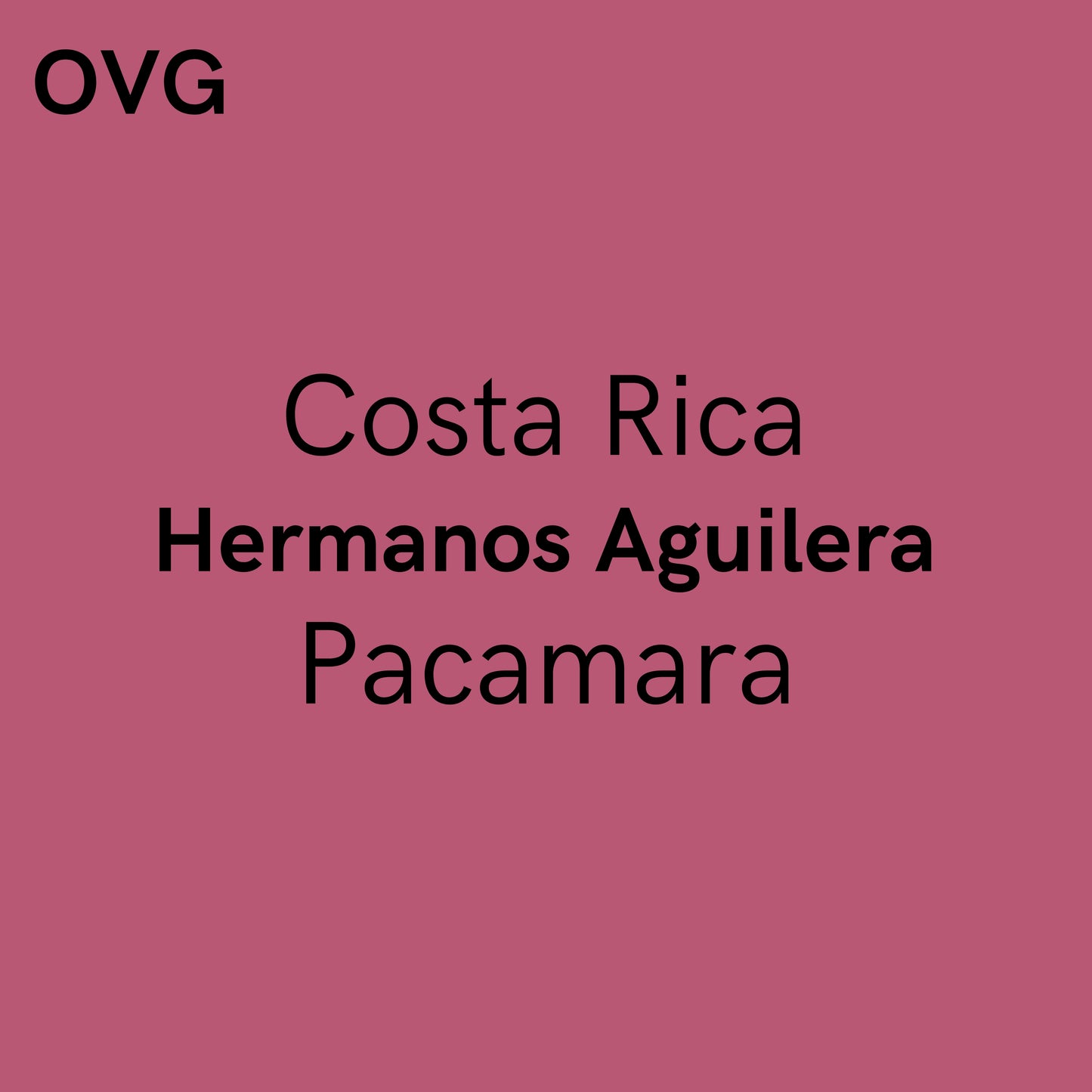 Costa Rica,Hermanos Aguilera - White Honey Pacamara