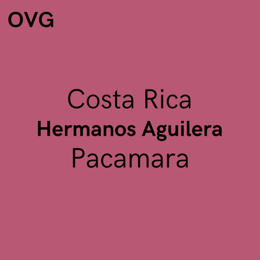 Costa Rica,Hermanos Aguilera - White Honey Pacamara